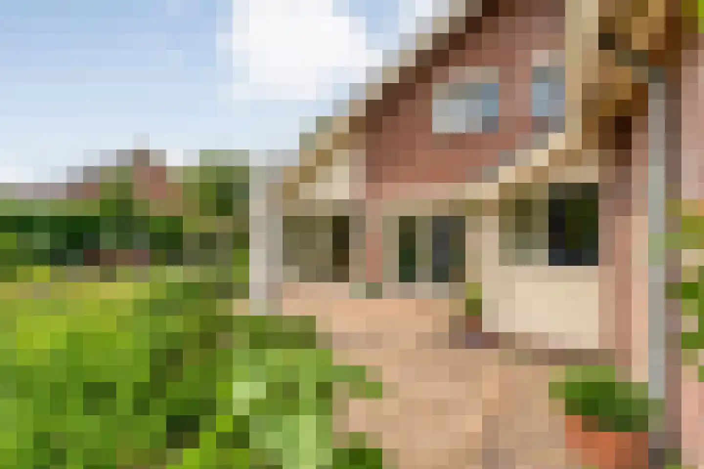 Baalder-Esch 53 Hardenberg thumbnail 64