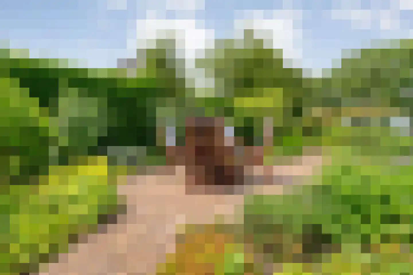 Baalder-Esch 53 Hardenberg thumbnail 67