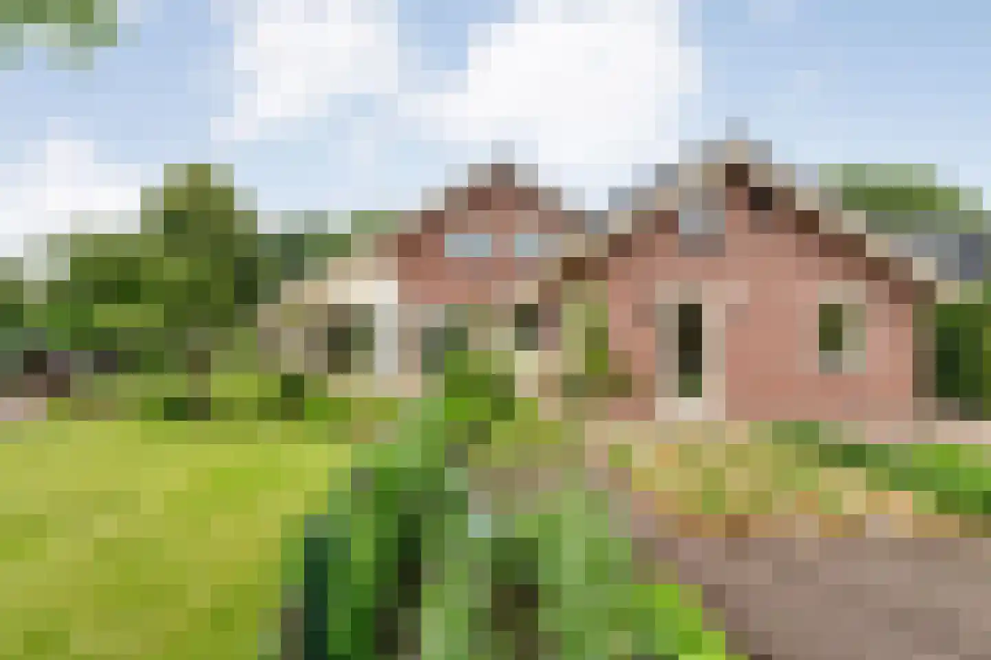Baalder-Esch 53 Hardenberg thumbnail 70