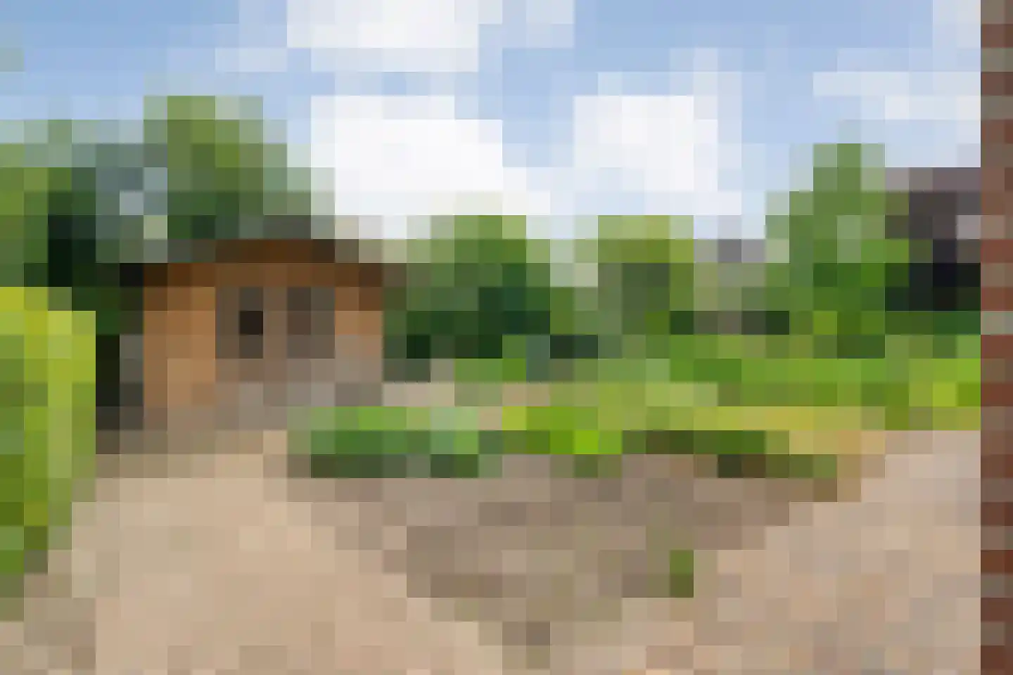 Baalder-Esch 53 Hardenberg thumbnail 72