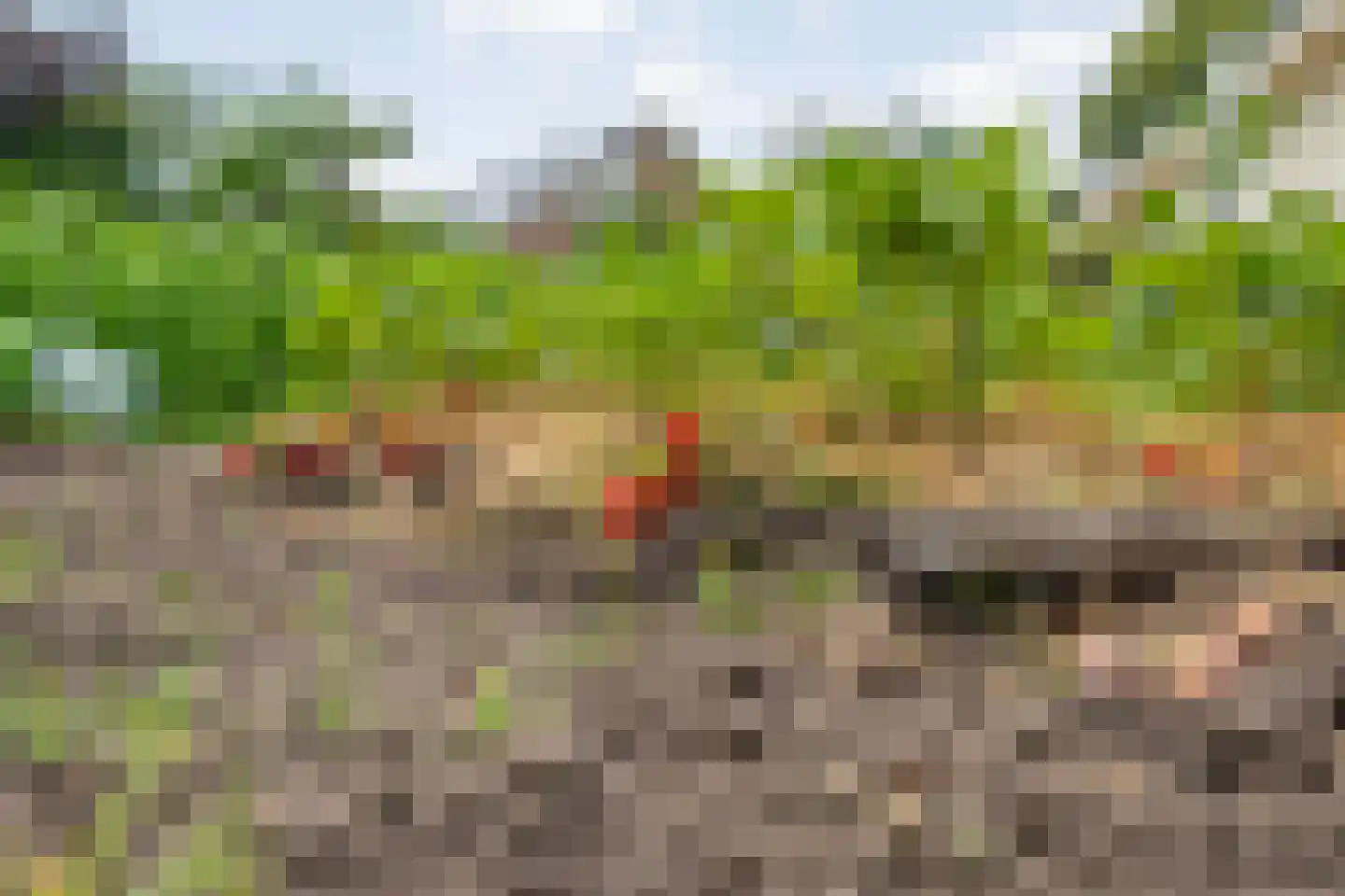Baalder-Esch 53 Hardenberg thumbnail 73