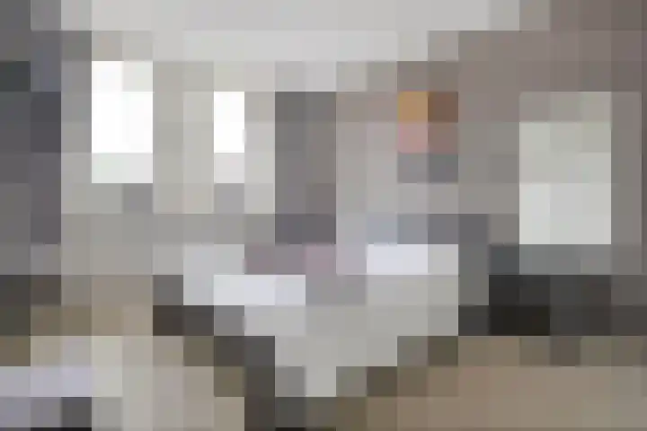 Baalder-Esch 95 Hardenberg thumbnail 19