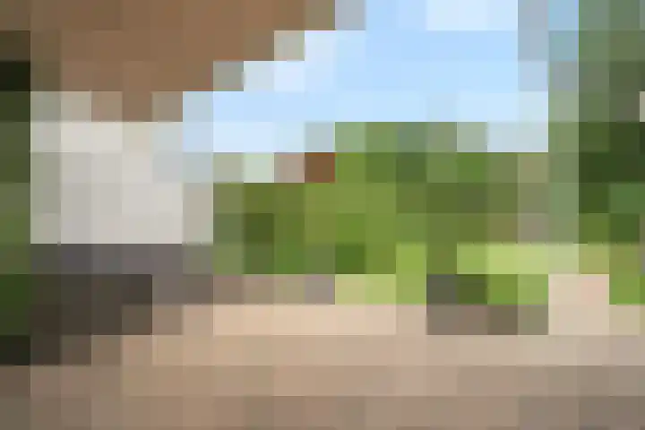 Baalder-Esch 95 Hardenberg thumbnail 34