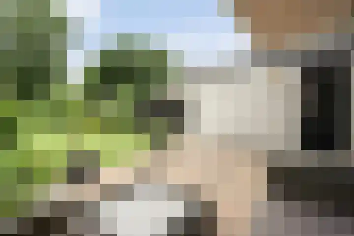 Baalder-Esch 95 Hardenberg thumbnail 35