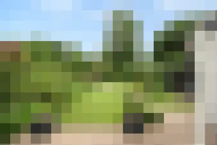 Baalder-Esch 95 Hardenberg thumbnail 36