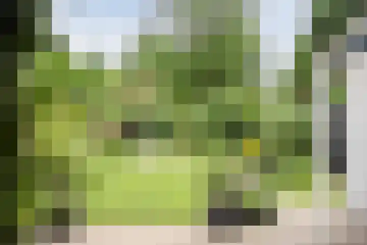 Baalder-Esch 95 Hardenberg thumbnail 37