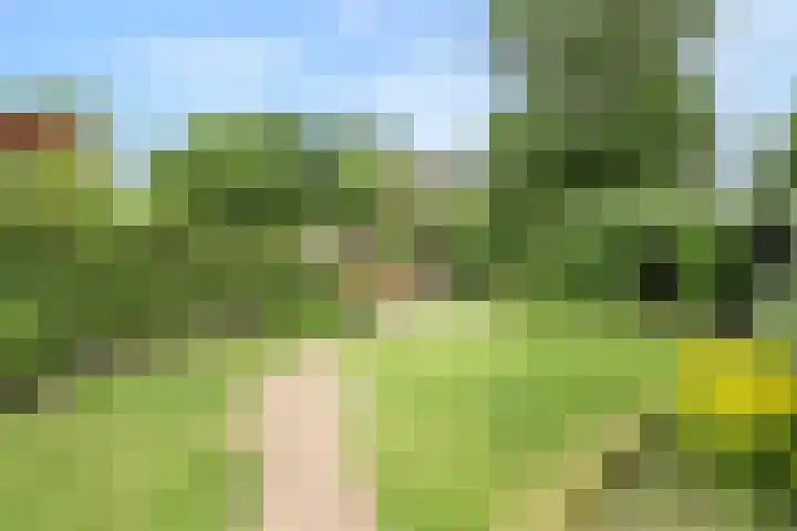 Baalder-Esch 95 Hardenberg thumbnail 38