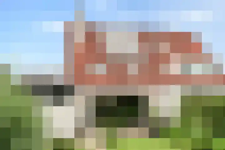 Baalder-Esch 95 Hardenberg thumbnail 39