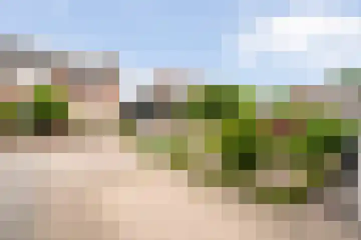 Baalder-Esch 95 Hardenberg thumbnail 4