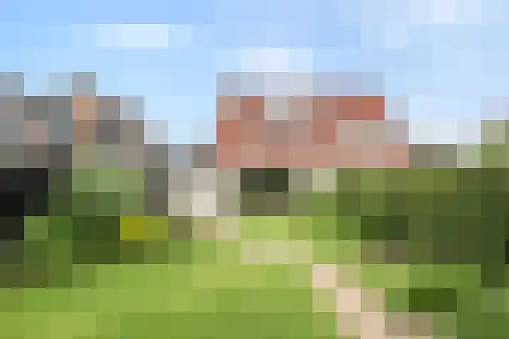 Baalder-Esch 95 Hardenberg thumbnail 40