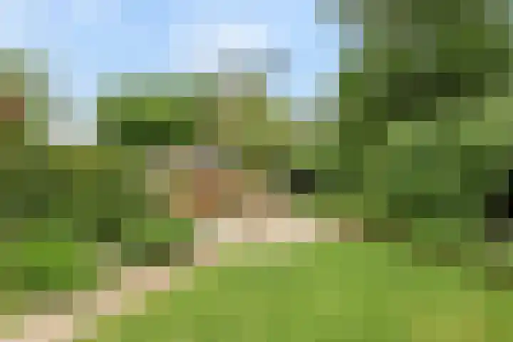 Baalder-Esch 95 Hardenberg thumbnail 41
