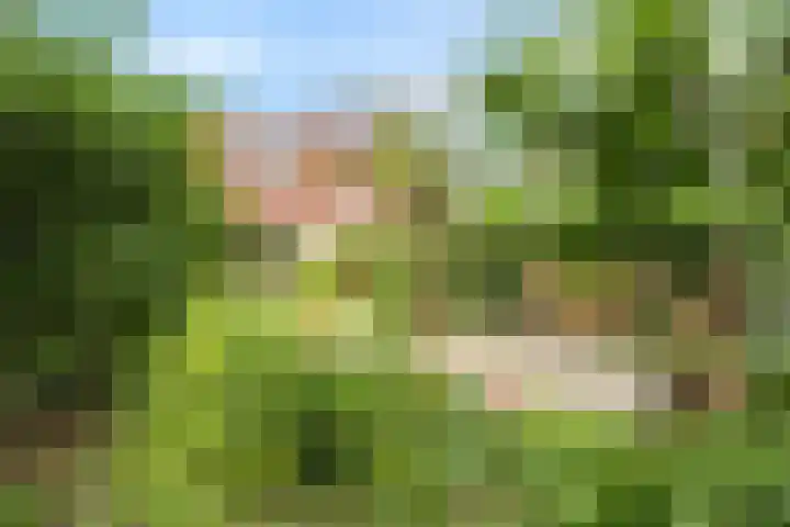 Baalder-Esch 95 Hardenberg thumbnail 43