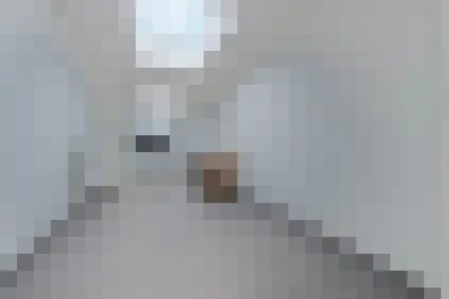 Baalsbruggerweg 16 Kerkrade thumbnail 7