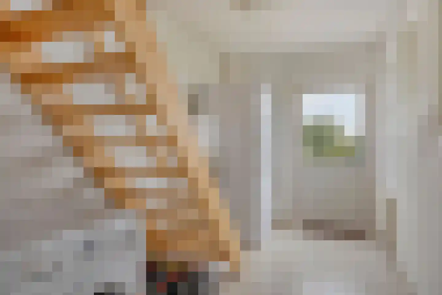 Baalsestraat 12 Haalderen thumbnail 38