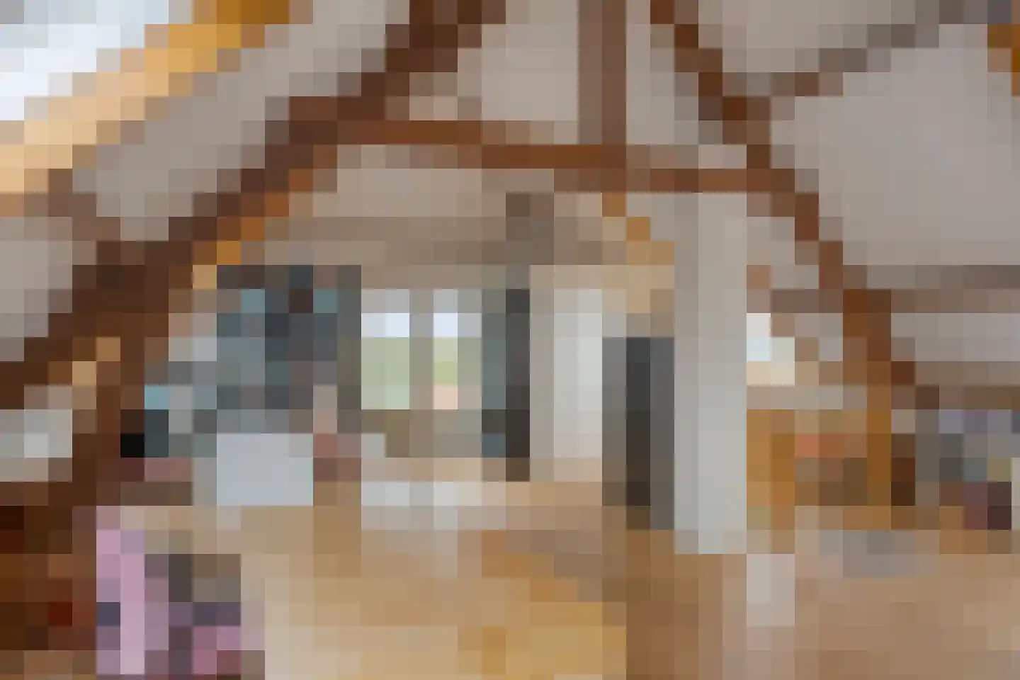 Baalsestraat 12 Haalderen thumbnail 40