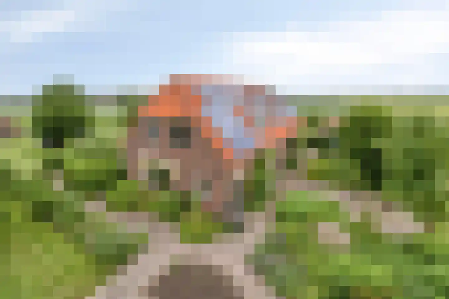 Baalsestraat 12 Haalderen thumbnail 5