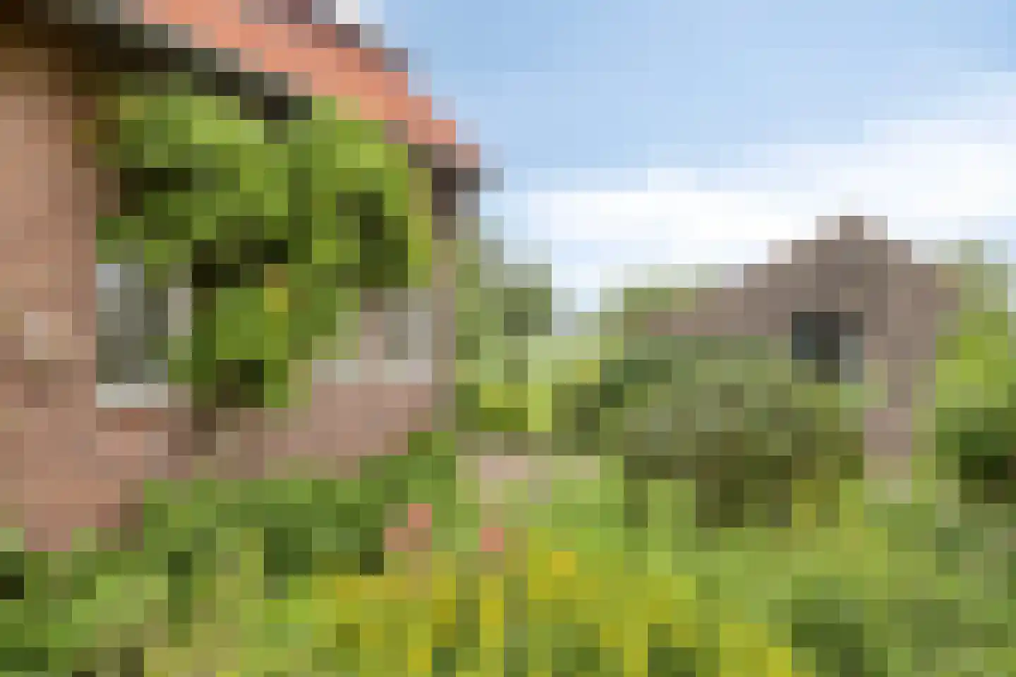 Baalsestraat 12 Haalderen thumbnail 53
