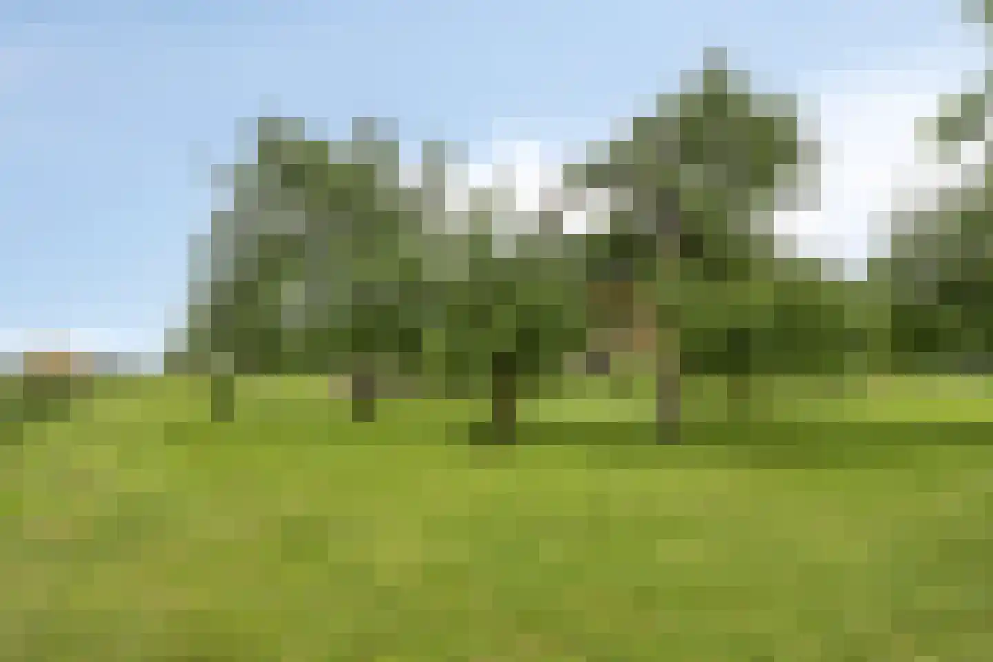 Baalsestraat 12 Haalderen thumbnail 60