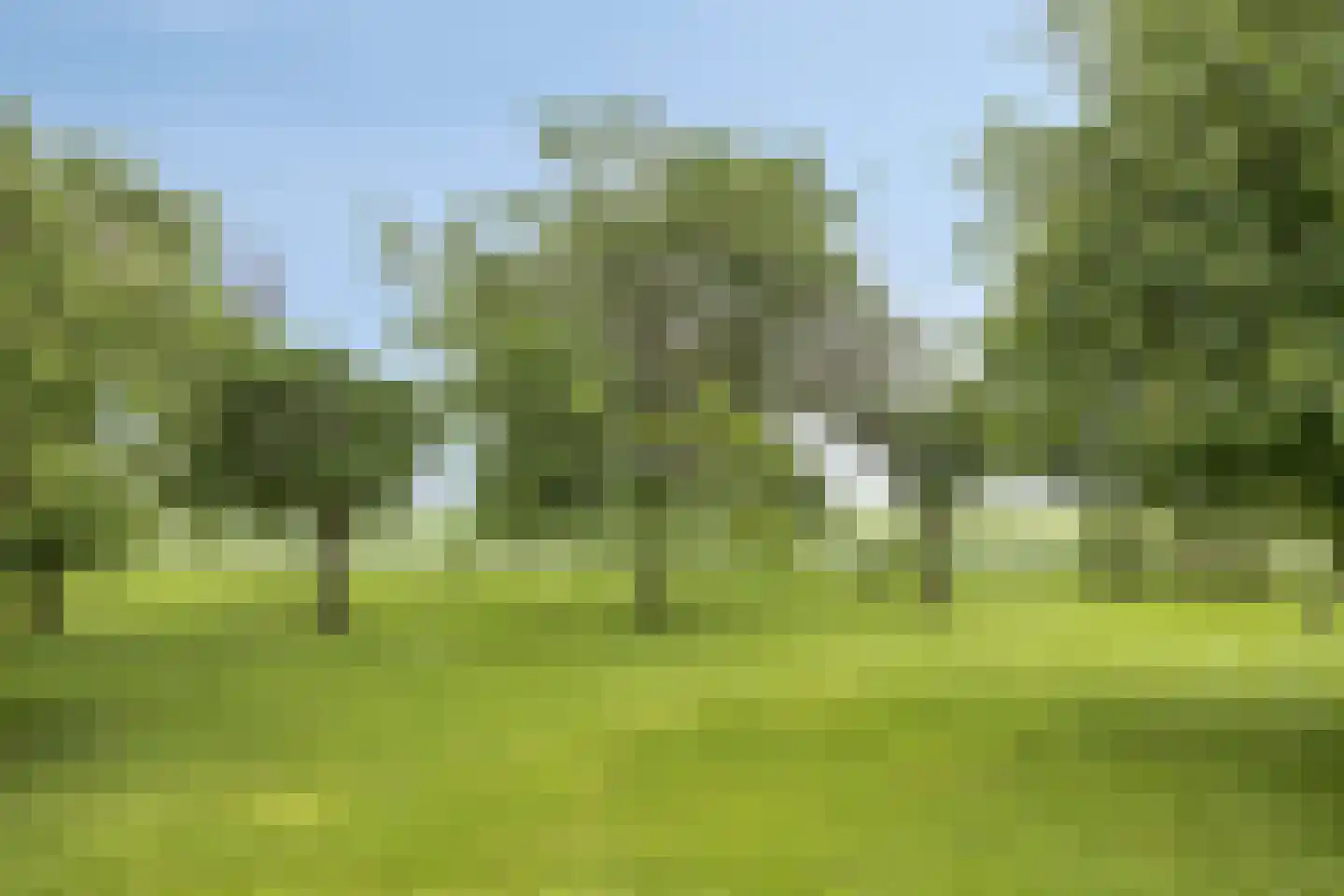 Baalsestraat 12 Haalderen thumbnail 63