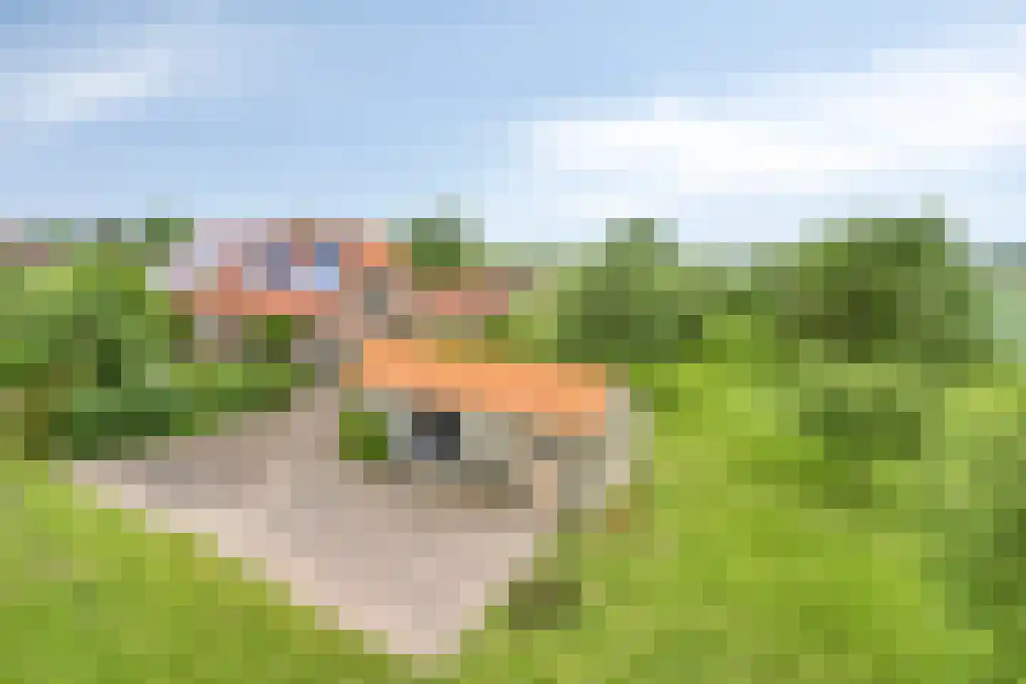 Baalsestraat 12 Haalderen thumbnail 73