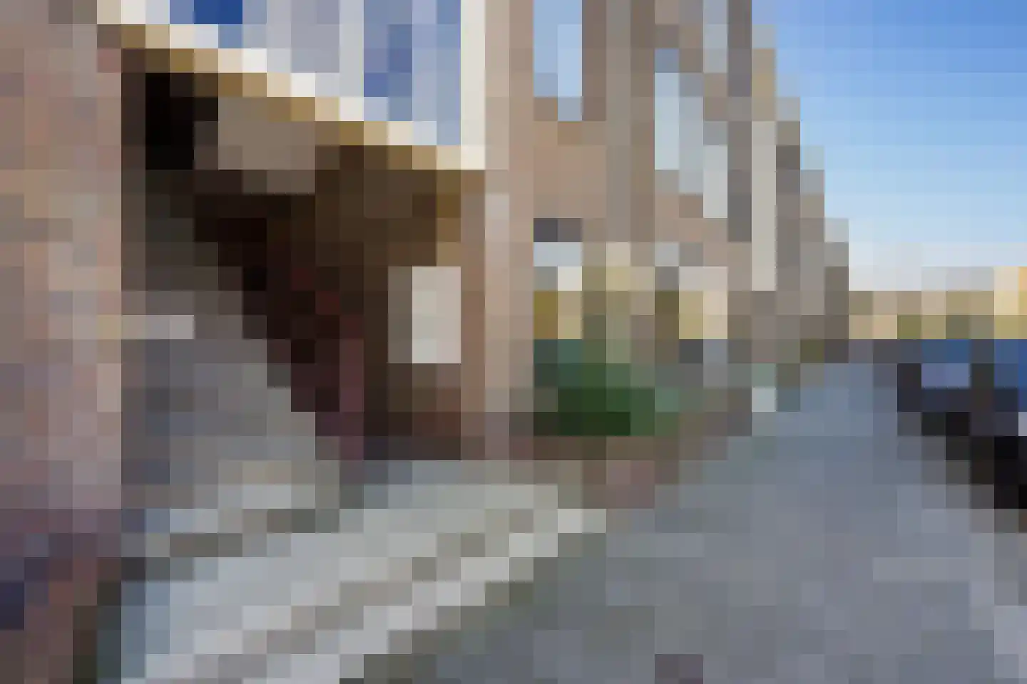 Baambruggestraat 101 Den Haag thumbnail 10