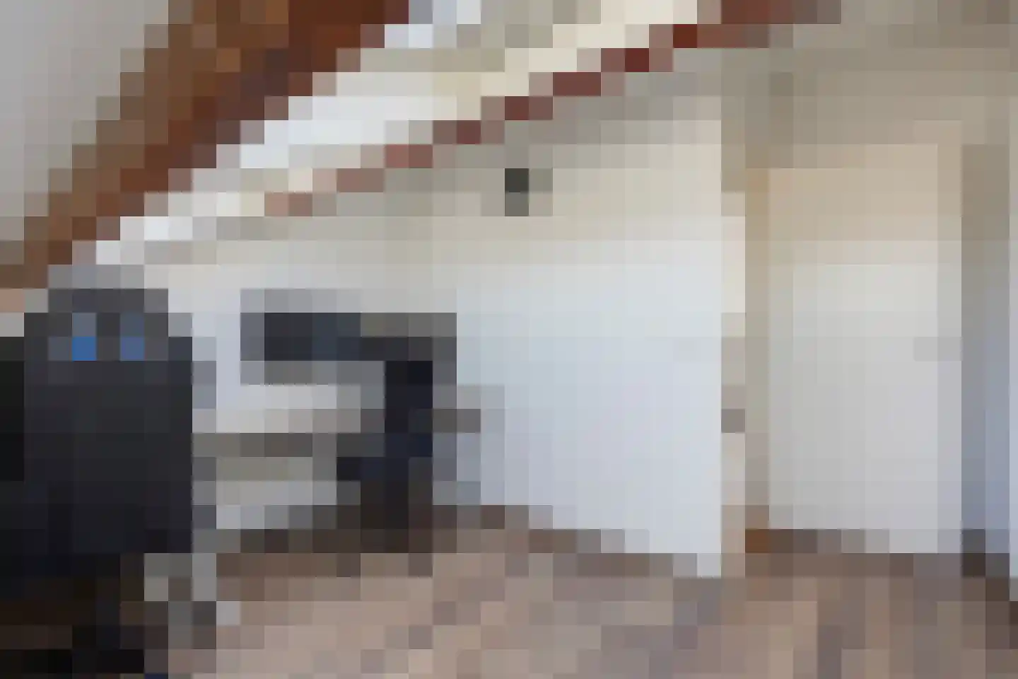 Baambruggestraat 101 Den Haag thumbnail 50