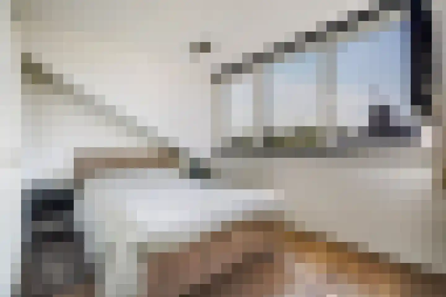 Baambruggestraat 101 Den Haag thumbnail 6