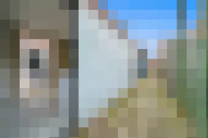Baambruggestraat 67 Den Haag thumbnail 27
