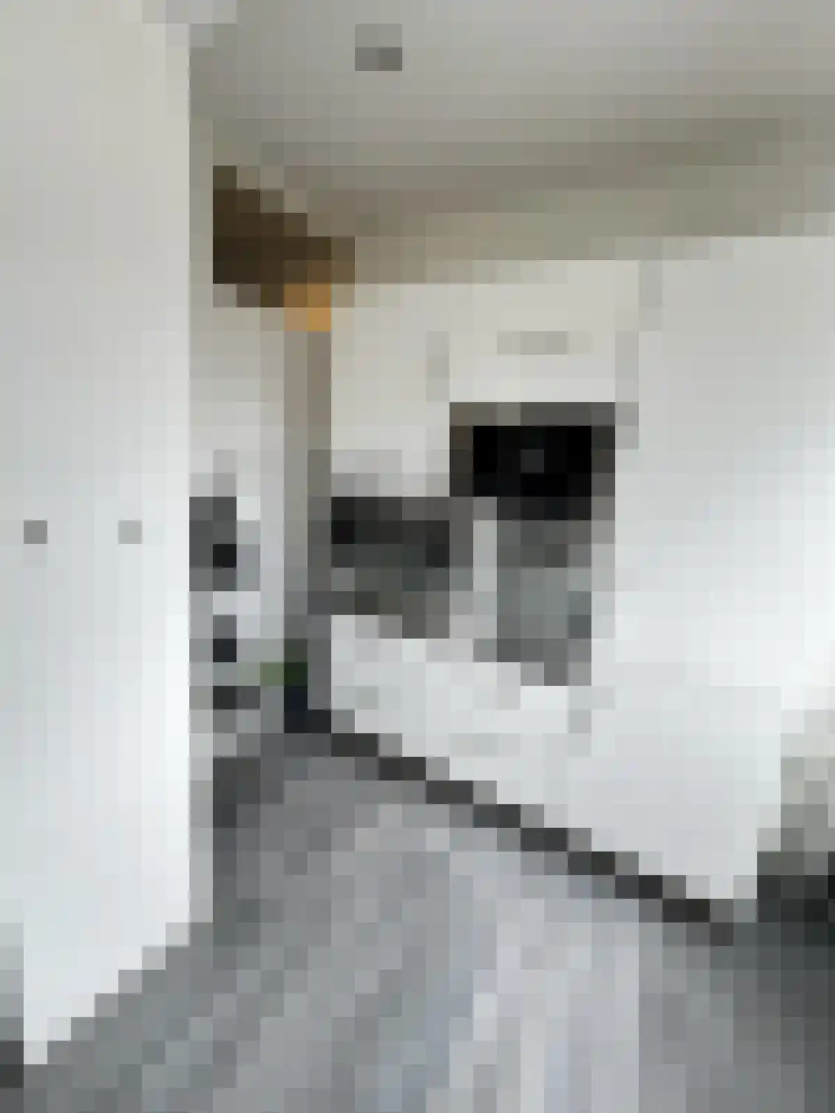 Baambruggestraat 89 Den Haag thumbnail 6