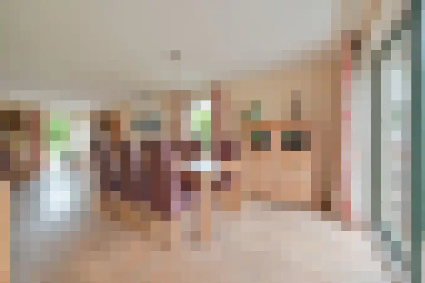 Baambrugse Zuwe 111 Vinkeveen thumbnail 11