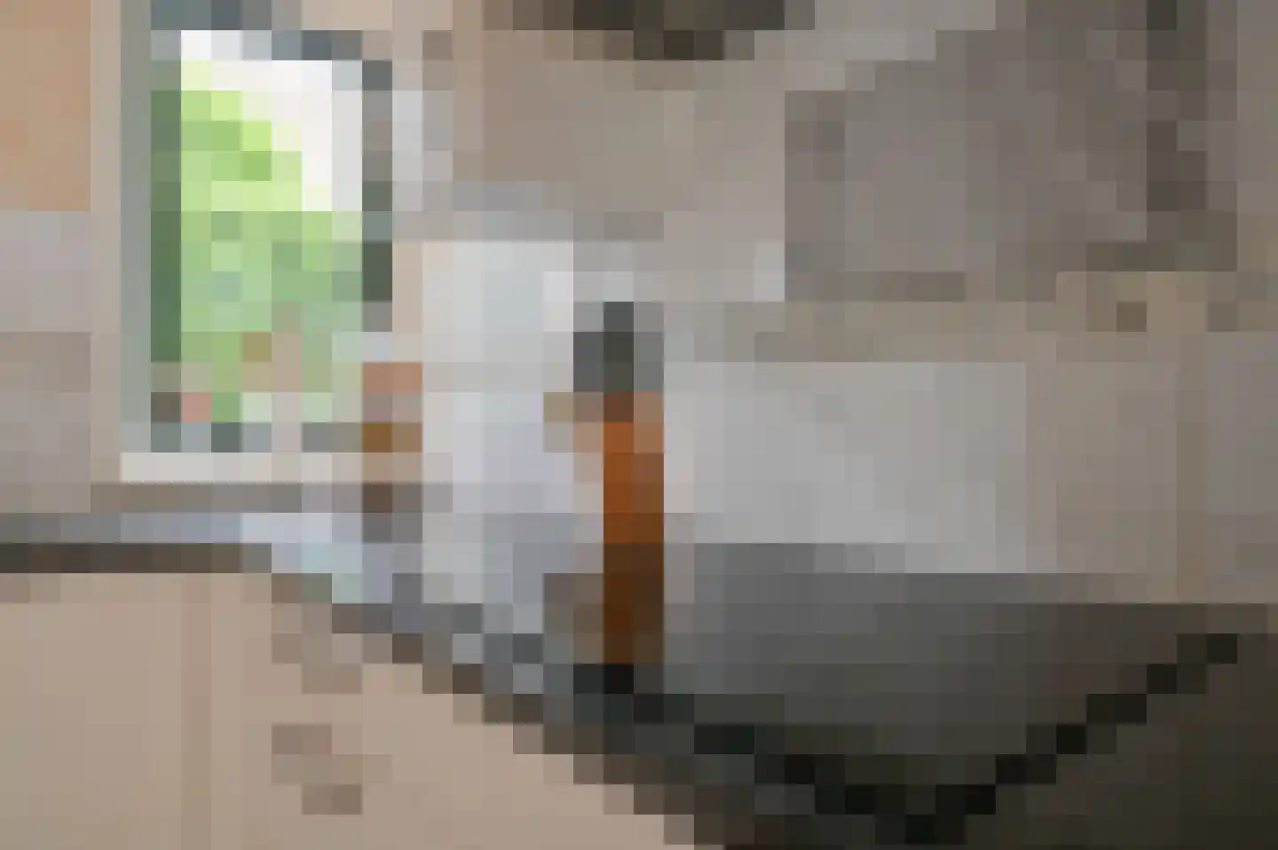 Baambrugse Zuwe 111 Vinkeveen thumbnail 13