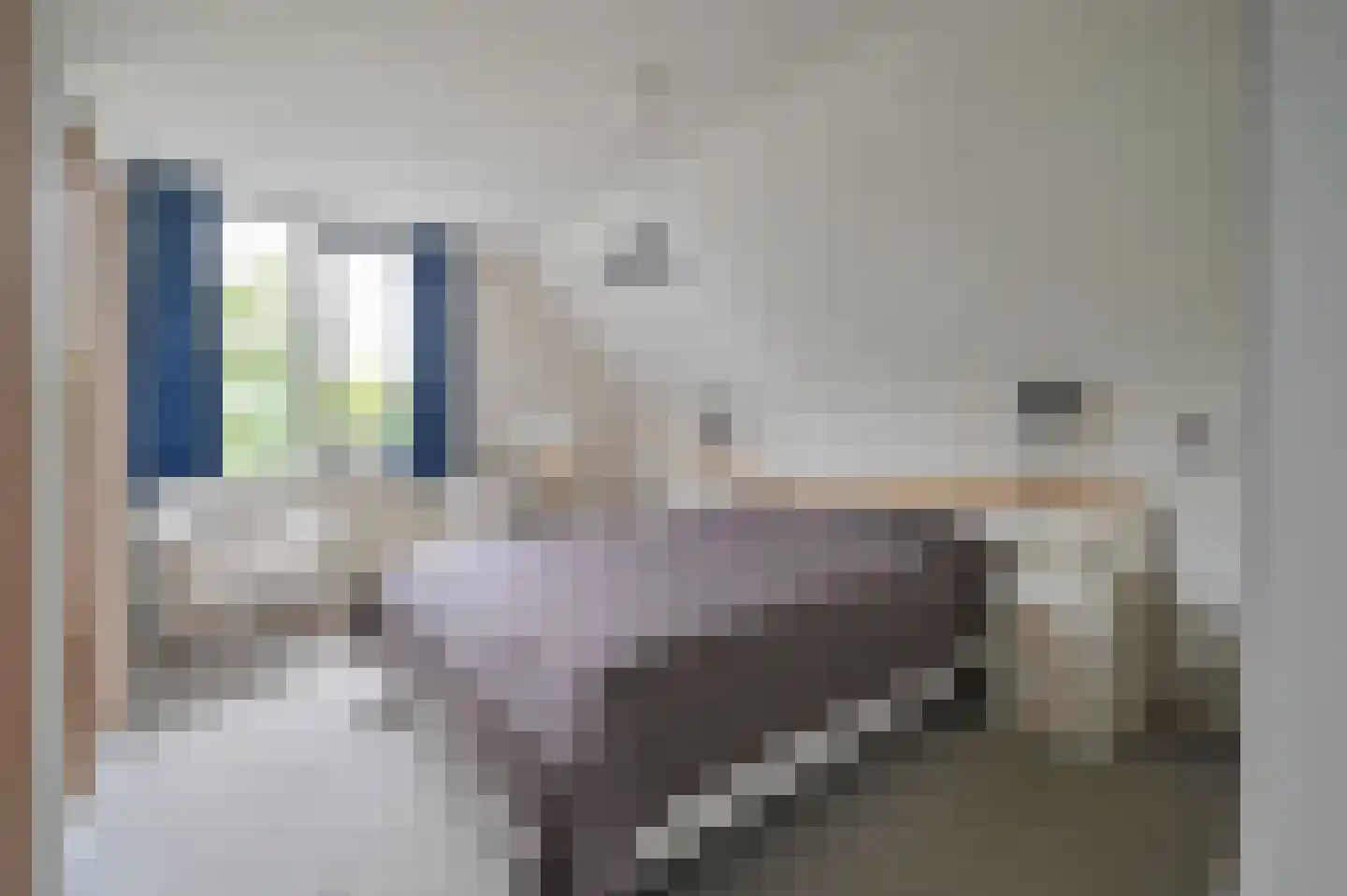 Baambrugse Zuwe 111 Vinkeveen thumbnail 18
