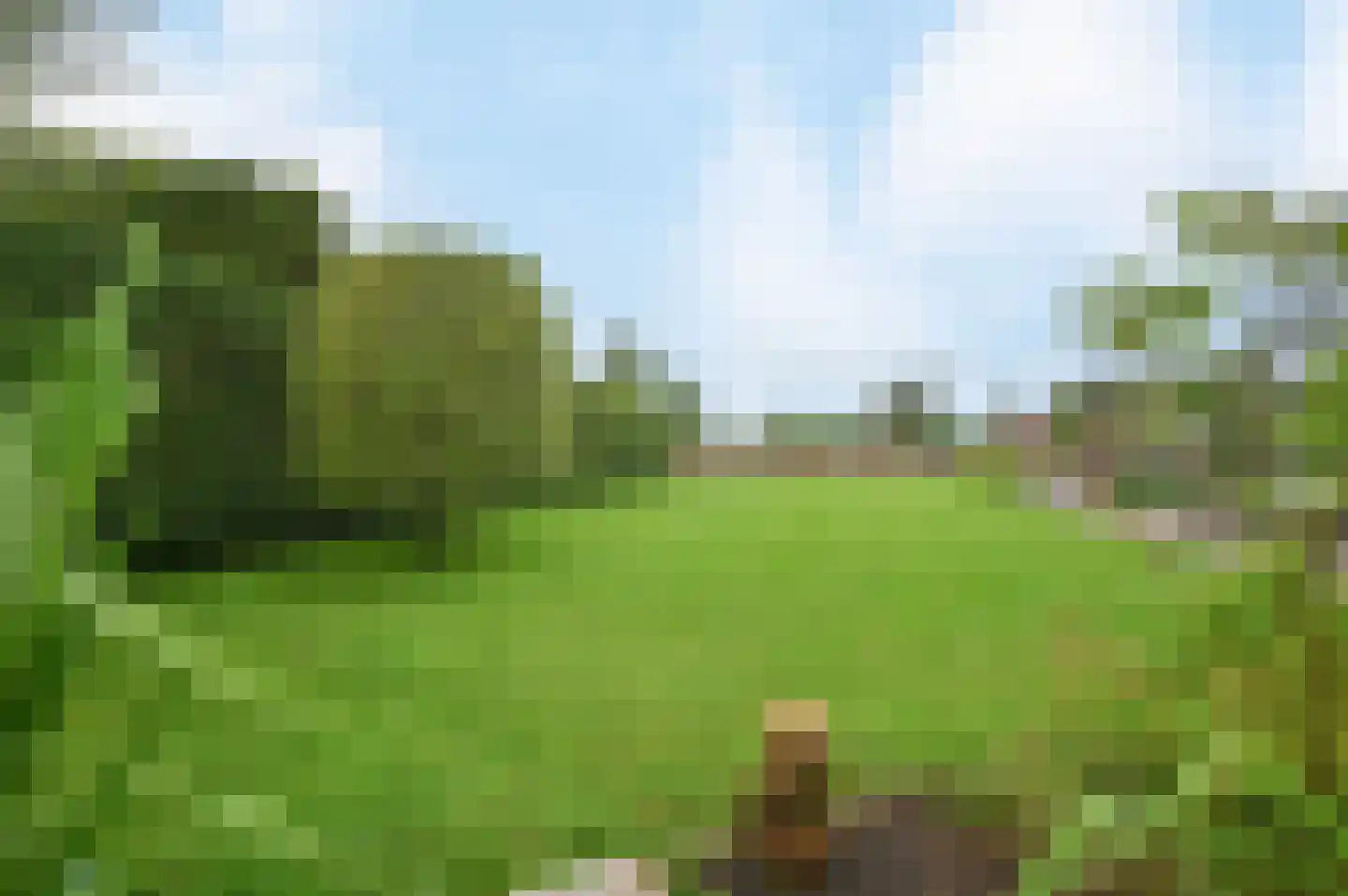 Baambrugse Zuwe 111 Vinkeveen thumbnail 33