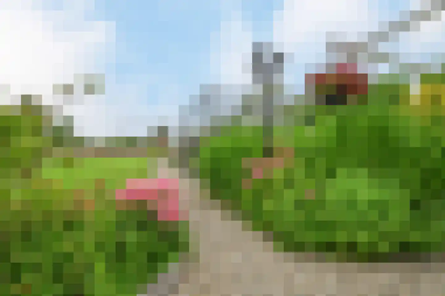 Baambrugse Zuwe 111 Vinkeveen thumbnail 34