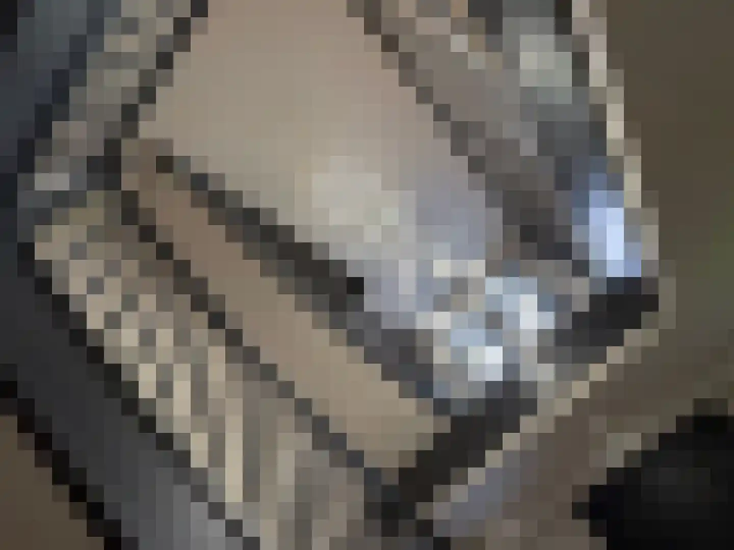 Baambrugse Zuwe 127 B Vinkeveen thumbnail 8