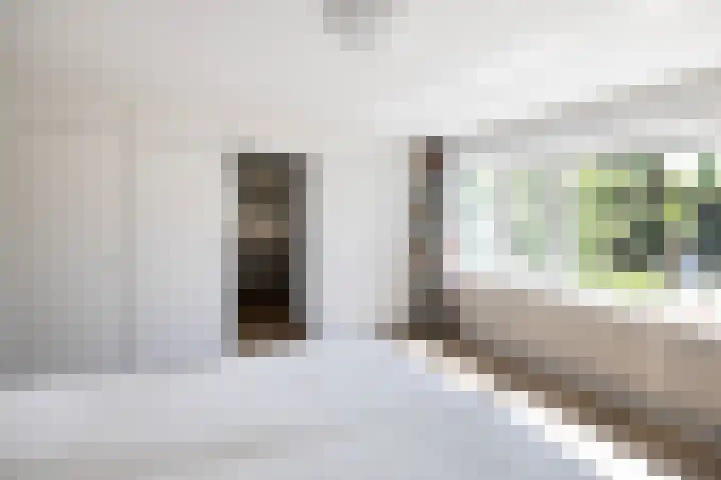 Baambrugse Zuwe 127 C Vinkeveen thumbnail 19