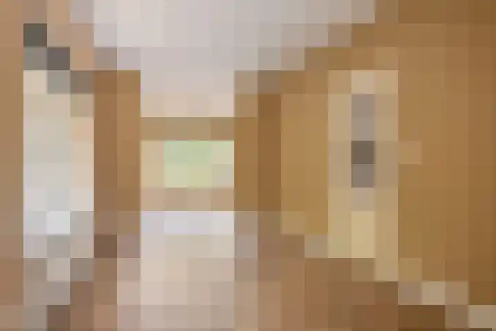 Baambrugse Zuwe 134 Vinkeveen thumbnail 10