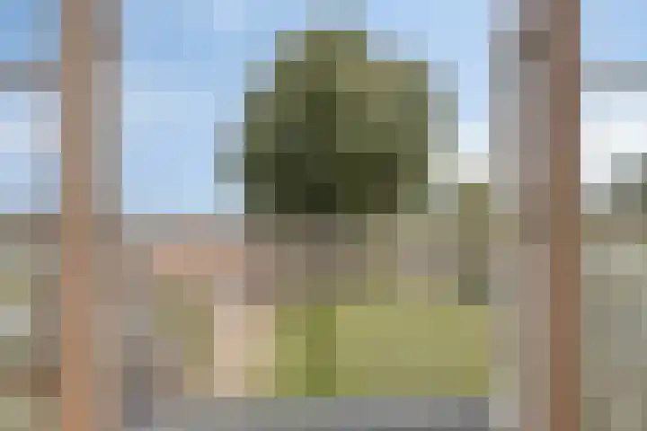 Baambrugse Zuwe 134 Vinkeveen thumbnail 27