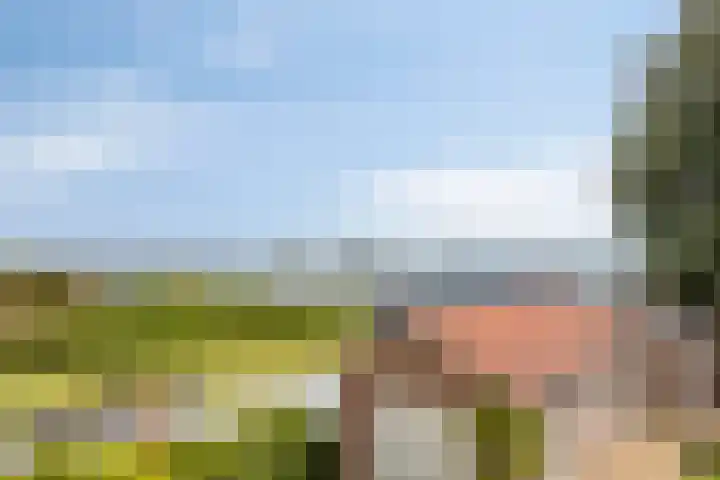 Baambrugse Zuwe 134 Vinkeveen thumbnail 29