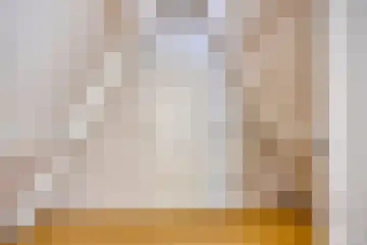 Baambrugse Zuwe 134 Vinkeveen thumbnail 43