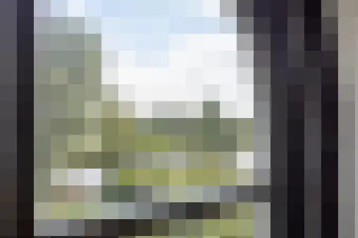 Baambrugse Zuwe 134 Vinkeveen thumbnail 45