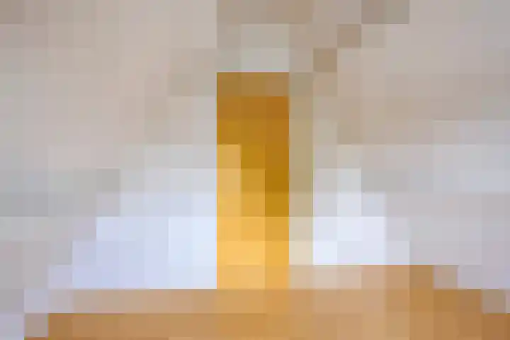 Baambrugse Zuwe 134 Vinkeveen thumbnail 49