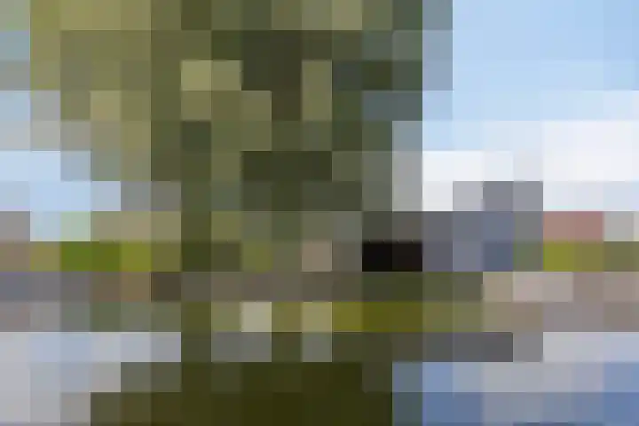 Baambrugse Zuwe 134 Vinkeveen thumbnail 52