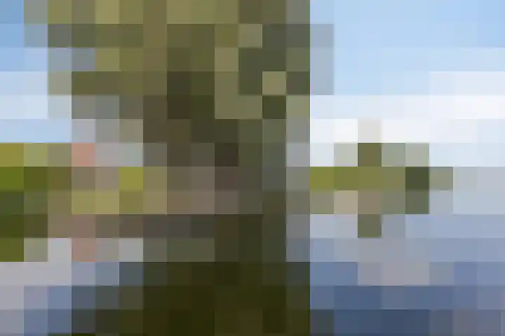 Baambrugse Zuwe 134 Vinkeveen thumbnail 53