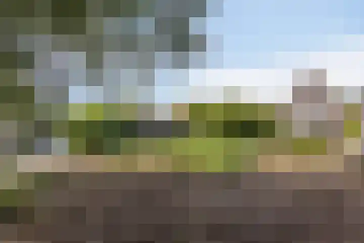 Baambrugse Zuwe 134 Vinkeveen thumbnail 54