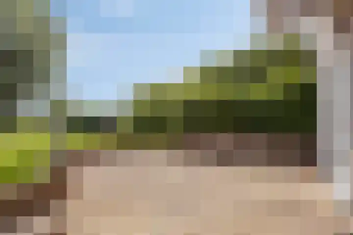 Baambrugse Zuwe 134 Vinkeveen thumbnail 57