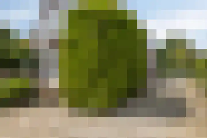 Baambrugse Zuwe 134 Vinkeveen thumbnail 58
