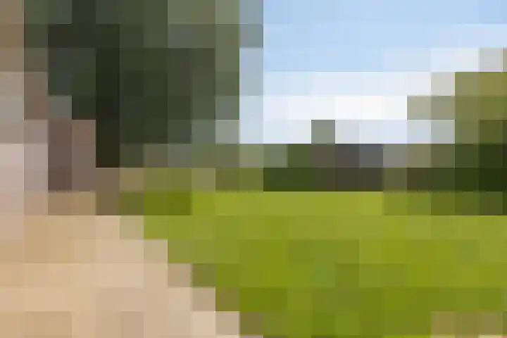 Baambrugse Zuwe 134 Vinkeveen thumbnail 59
