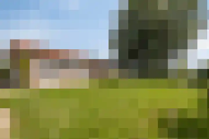 Baambrugse Zuwe 134 Vinkeveen thumbnail 61