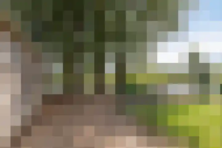 Baambrugse Zuwe 134 Vinkeveen thumbnail 63